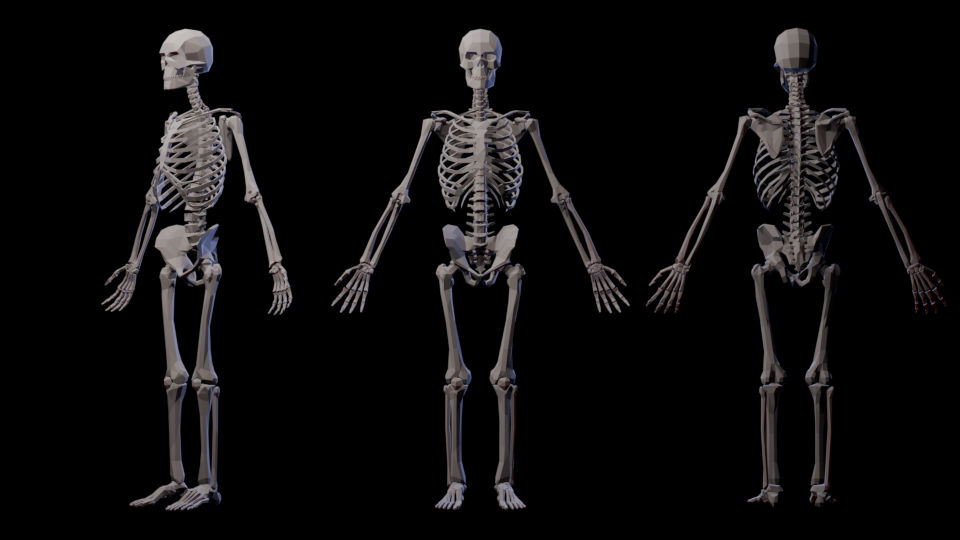Lowpoly skeleton render