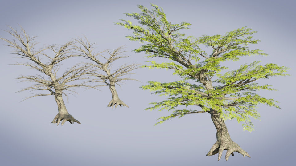 Tree asset render